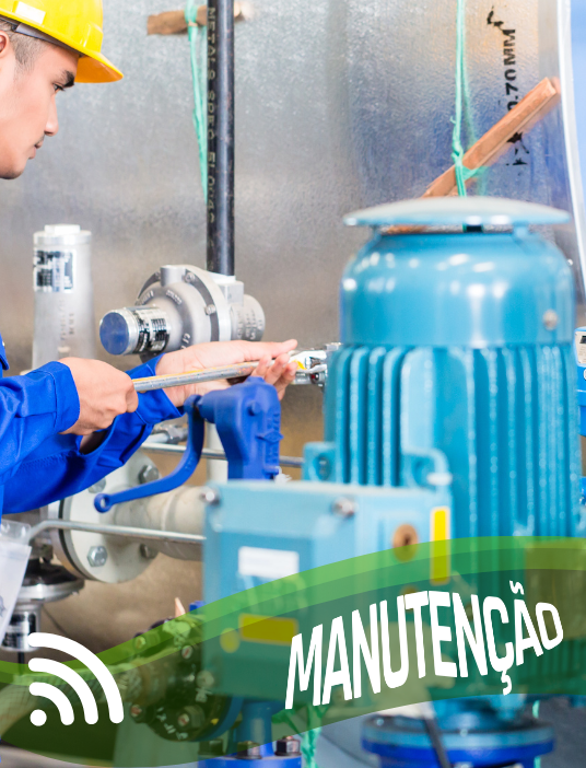 Texto do seu parágrafo (6)